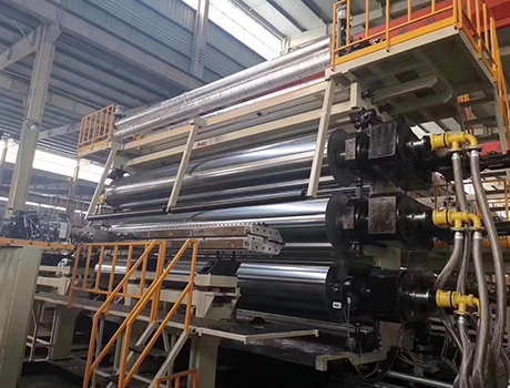 2019 Italy 8000mm HDPE Membrane Extrusion Project