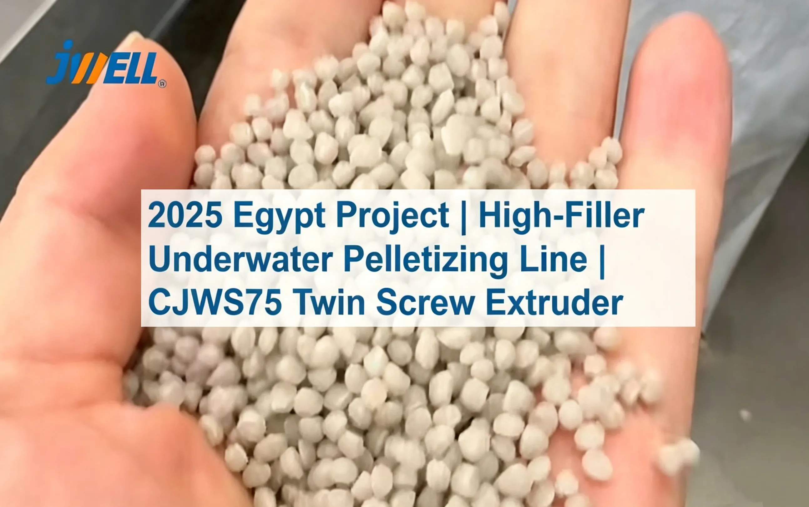 2025 Egypt 1000 kg/h High-Filler Underwater Pelletizing Project